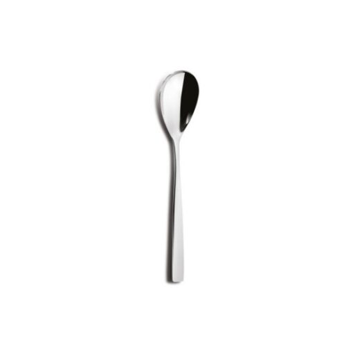ΚΟΥΤΑΛΙ ΣΕΡΒΙΡΙΣΜΑΤΟΣ INOX 27cm