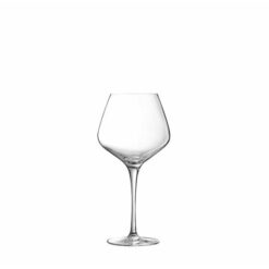 ΠΟΤΗΡΙ ΚΡΑΣΙΟΥ AVLON 460ml 6,6X22cm