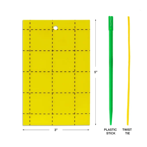 CATCH-ΙΤ 70Χ320 YELLOW ΔΙΠΛΗΣ